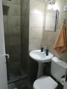 a bathroom with a sink and a toilet and a shower at Apartman studio Oranž in Kladovo +17 photos