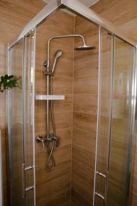 a shower with a shower head in a bathroom at Rina Apartment- with barbecue and free parking in Kaštela +36 photos