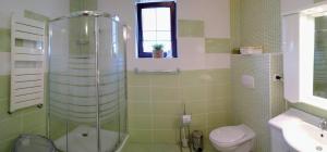 a bathroom with a shower and a toilet and a sink at Studio 45 sqm with mountain view in Porumbacu de Sus