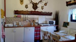a kitchen with a counter and a table with chairs at Studio 45 sqm with mountain view in Porumbacu de Sus