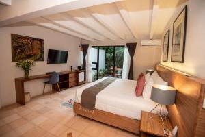 瓦哈卡德華雷斯的住宿－Nardazul "Casa de Sueños"，一间卧室配有一张床、一张书桌和一台电视