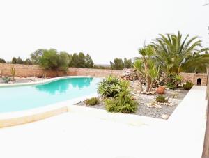 una piscina en un jardín con palmeras en Dar De La Milonga, en Essaouira