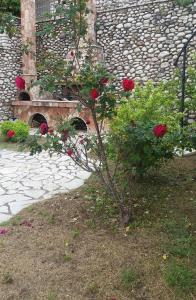 un arbusto con rosas rojas frente a un edificio de piedra en Αρχωντικα στην Τρiχονιδα, en Agrinio