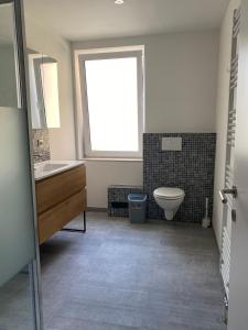łazienka z toaletą, umywalką i oknem w obiekcie L'Harmonie de Wavre w mieście Wavre
