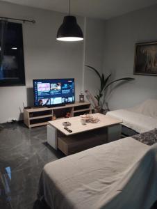 a living room with two beds and a flat screen tv at Luxury Apartment in Dhamoulianáta