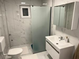 uma casa de banho com um WC, um lavatório e um chuveiro em Apartment Paradise Enver em Dubrave Gornje