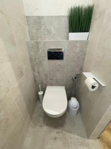 a bathroom with a toilet and a plant on the wall at KOBIELA APARTMENTS Family Delux KTW City Center in Katowice