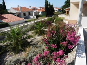 Zahrada ubytování Holiday apartment in Punat with terrace, air conditioning, WiFi, washing machine 4534-3