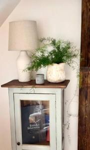 a table with a lamp and plants on top of it at Dobré časy - Studio II in Banská Štiavnica