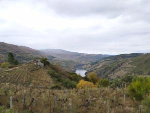 Blick auf einen Weinberg und einen Fluss in einem Tal in der Unterkunft Balcón san Lorenzo in Cristosende