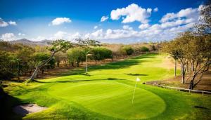 - Vistas a un campo de golf con césped en Iguana budged room Stop N Go Surf, en Tola