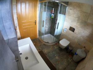 a bathroom with a shower and a sink and a toilet at Alternative Lux Apartment in Dhamoulianáta