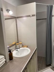 a bathroom with a sink and a shower at Studio apartment Lu in Rupa