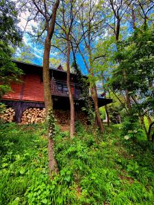 dom z czerwonym dachem pośrodku drzew w obiekcie Prirodna oaza Brvnare Platan w mieście Vrdnik