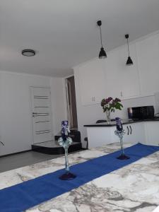 Kuchyň nebo kuchyňský kout v ubytování Vernatun guest house