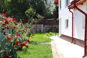 ogród z czerwonymi różami i płotem w obiekcie Accommodation Casa Luca w mieście Horezu