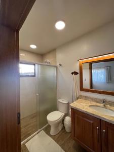 a bathroom with a toilet and a sink and a mirror at Pousada Pattis in Treze Tílias