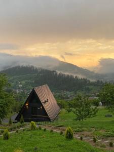 a small house with a roof on a green field at Mirador Cottage in Slavske