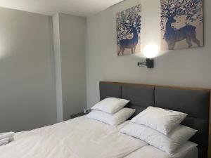 a bedroom with a bed with two white pillows at Apartman Mist - Bela Reka Kopaonik in Brzeće