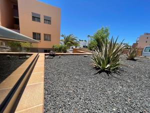 une cour avec des plantes devant un bâtiment dans l'établissement Apartamento Kai, à Playa Jandía