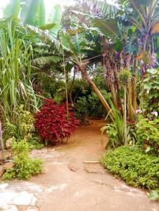 a garden with many different types of plants at Vila Chapada Alta - Chapada dos Veadeiros in Alto Paraíso de Goiás