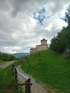 Příroda nedaleko chaty + 37 fotografií