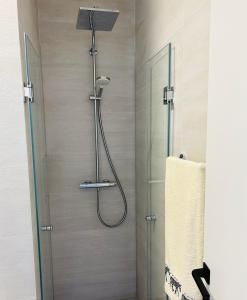 a shower with a shower head in a bathroom at Lizz Panoramic Residence in Floreşti