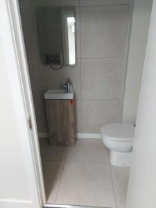 Plaza suite 61 B في بانغور: حمام مع مرحاض ومغسلة