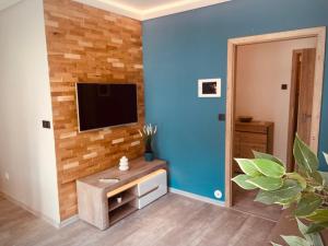 TV a/nebo společenská místnost v ubytování Apartmány Petr Vok