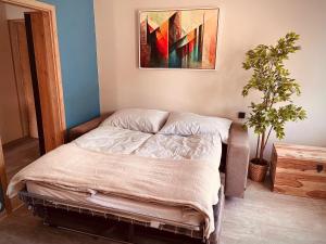 Postel nebo postele na pokoji v ubytování Apartmány Petr Vok