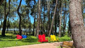 Zahrada ubytování Iveria Elli Hotel