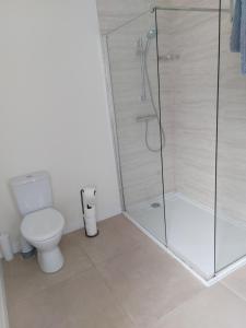 uma casa de banho com um WC e uma cabina de duche em vidro. em Atrium Apartment A em Bangor