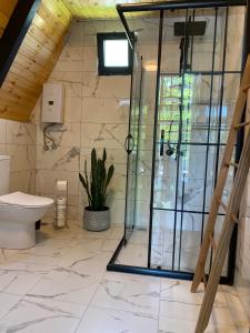a bathroom with a glass shower and a toilet at Sardunya Bungalov in Sapanca