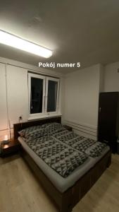 1 dormitorio con 1 cama grande en una habitación en Village Hel Helska 11- ośrodek wśród sosen, en Hel