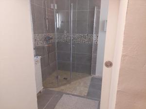 La salle de bains est pourvue d'une douche avec une porte en verre. dans l'établissement Le Petit Mas des Alpilles en Provence, à Saint-Étienne-du-Grès