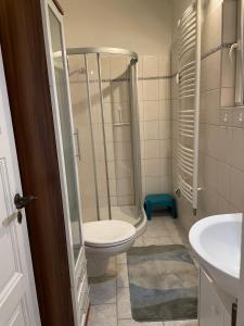 ein Bad mit einer Dusche, einem WC und einem Waschbecken in der Unterkunft Ferienwohnung Martina in Blankenburg