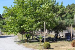 a tree with a hammock under it in a yard at Casal Do Crego in O Grove