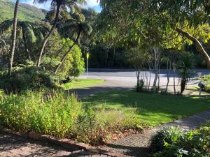 una calle con un parque con palmeras y una carretera en Close To Nature & City en Wellington