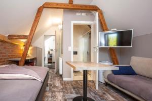 a room with a couch and a table and a tv at BnB Comfort Guesthouse Olten - Lostorf in Lostorf