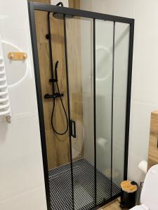 a shower with a glass door in a bathroom at Apartament Stogi in Gdańsk