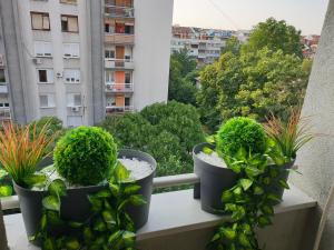 a balcony with three potted plants on a ledge at Aurora 2 in Novi Sad