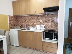 a kitchen with a sink and a microwave at Aurora 2 in Novi Sad