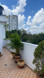 a balcony with potted plants and a white wall at HOTEL GUADALUPE BGA in Bucaramanga
