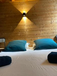 a bedroom with a bed with blue pillows and a wooden wall at Gite du moulin in Montgesoye