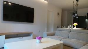 sala de estar con sofá y TV en Apartman Katarina, en Split