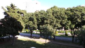 un grupo de árboles al lado de una calle en Apartman Katarina, en Split
