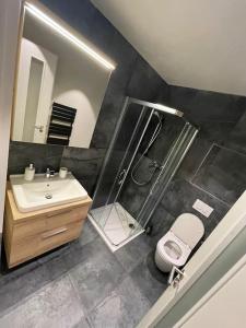 uma casa de banho com um chuveiro, um lavatório e um WC. em Apartmán Harmonie - Šumava em Frischwinkel