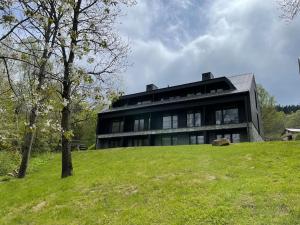 una casa negra en la cima de una colina verde en Apartmán Harmonie - Šumava en Frischwinkel