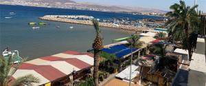 a beach with a palm tree and a body of water at Al-Amer Chalets in Aqaba