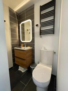 bagno con servizi igienici, lavandino e specchio di Villa Marylou a Bernières-sur-Mer